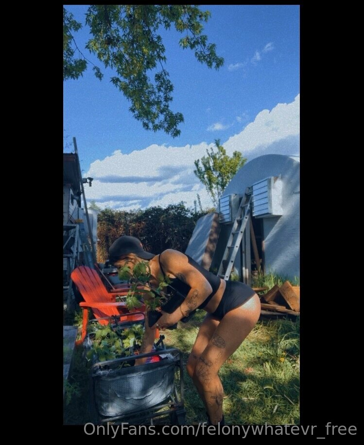 Leaked felonywhatevr_free Nude Leaks Onlyfans Leaked felonywhatevr_free Nude Leaks Onlyfans