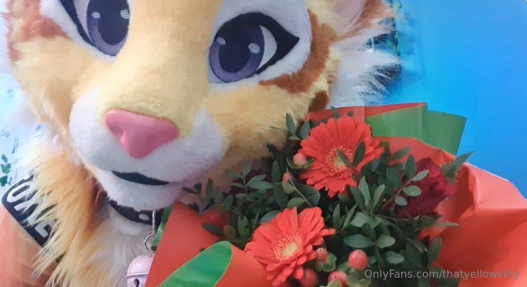 Leaked thatyellowkitty Nude Leaks Onlyfans Leaked thatyellowkitty Nude Leaks Onlyfans
