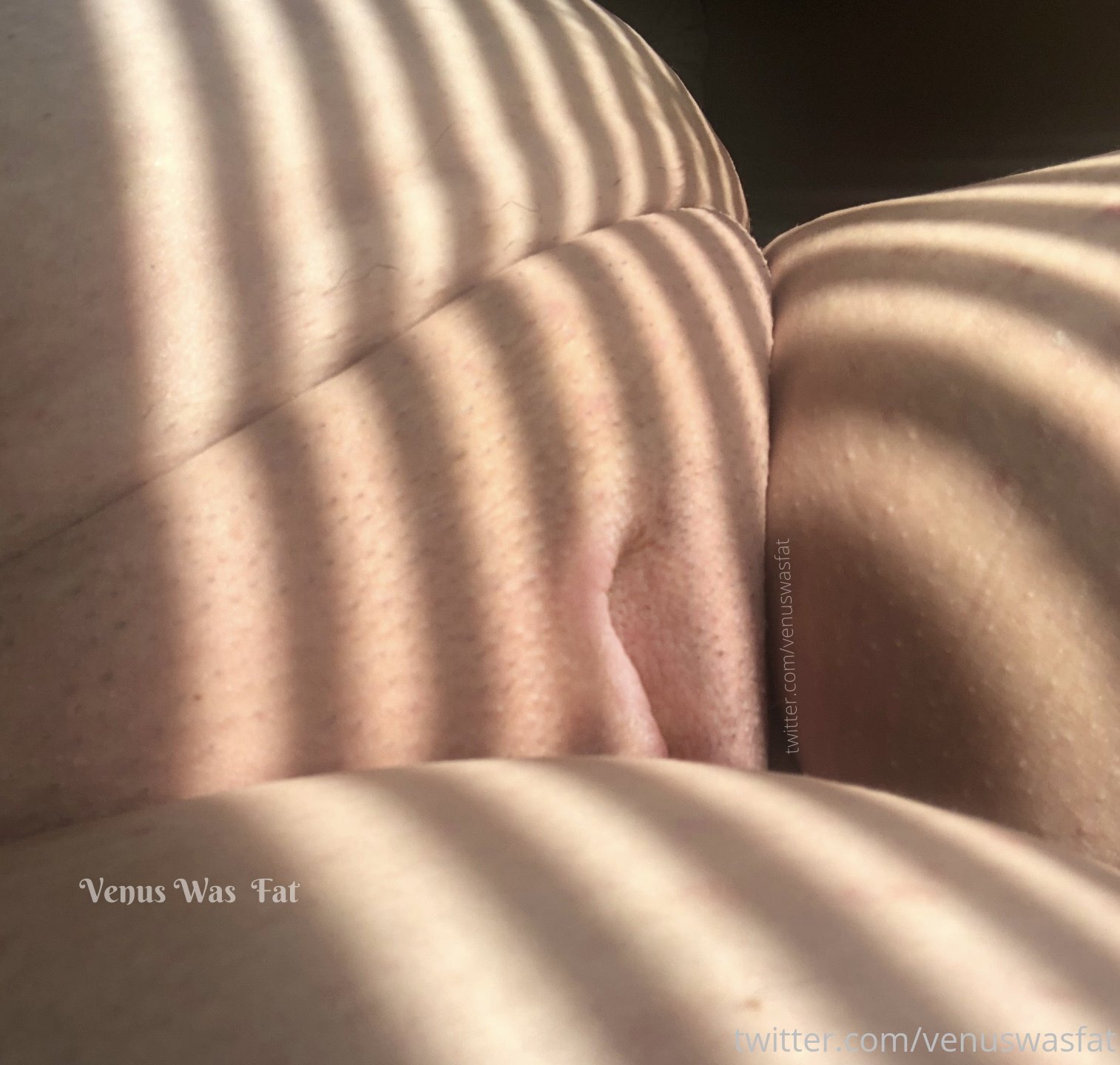 Leaked venuswasfat Nude Leaks Onlyfans Leaked venuswasfat Nude Leaks Onlyfans